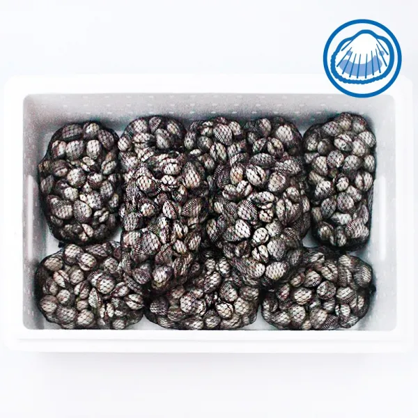 와온수산 제철 꼬막 벌교 새꼬막 혼합 10kg 1box