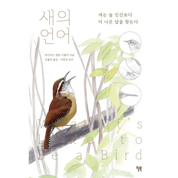 새의 언어:새는 늘 인간보다 더 나은 답을 찾는다 윌북 9791155813454 데이비드 앨런 시블리 저/김율희 역/이원영 감수