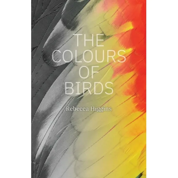 The Colours Of Birds Paperback Iguana Books