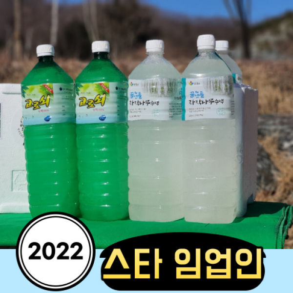꿈앤들 자작나무수액 섬진강 시원지 방아뜰 수목원 0,5L /12병 1,5L/6병