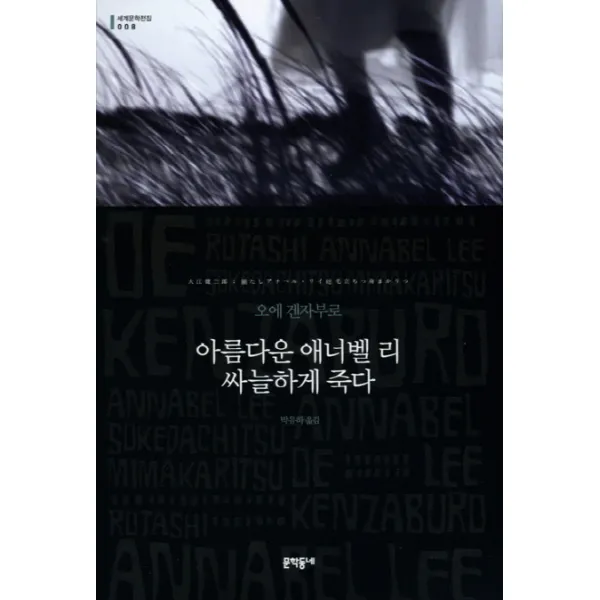 아름다운 애너벨 리 싸늘하게 죽다, 문학동네