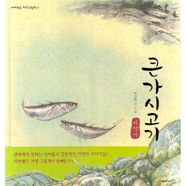 큰가시고기 이야기, 시공주니어