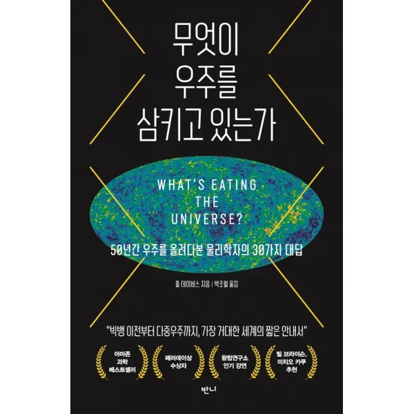 무엇이 우주를 삼키고 있는가:50년간 우주를 올려다본 물리학자의 30가지 대답, 폴 데이비스, 반니
