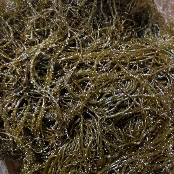 자연이네 완도 꼬시래기 무료배송, 1개, 5kg