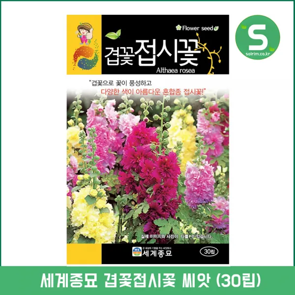 솔림텃밭몰 겹꽃접시꽃씨앗 30립 접시꽃 꽃씨앗 혼합종