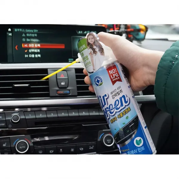 차량용 냄새제거 에어컨 탈취 스프레이 차오징어냄새 차쉰내제거 차송풍구냄새 남자친구선물 면허취득선물, 1개, 포레스트