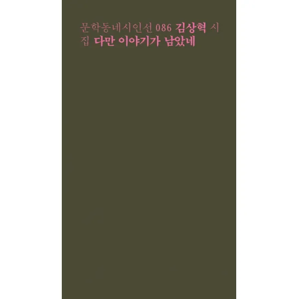 다만 이야기가 남았네:김상혁 시집, 문학동네