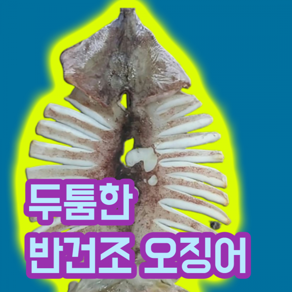 날라리오징어 반건조오징어 피데기 포항 특대 대 중 소 파품 10미 국산 10마리 국내산 영덕, 1kg이내