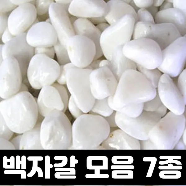 백자갈 3kg 흰 돌 정원 마당 자갈 깔기 조약돌 어항 화분 용 미술 야외 실내 인테리어, 1개