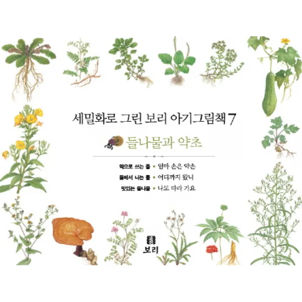 세밀화로 그린 보리 아기그림책 7 : 들나물과 약초