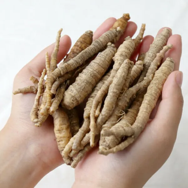 한라산더덕 세척 하품 20kg, 단품