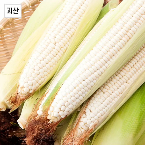 괴산 대학 찰옥수수, 찰옥수수 30개