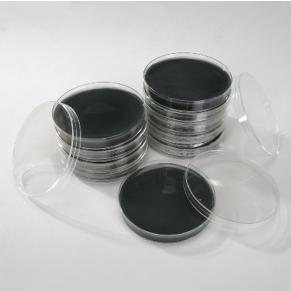 오피스안 세균배양배지 살모넬라균배양배지 이질균배양배지 60mm Sn224 개별상품