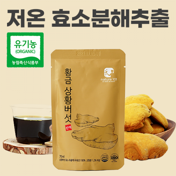 유기농 장수상황버섯 액기스 진액 100% 효소분해 1박스 네이처101