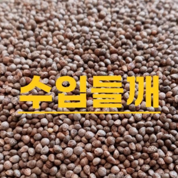 [후계자농산]수입 들깨 1kg 들기름용 효능 먹는법