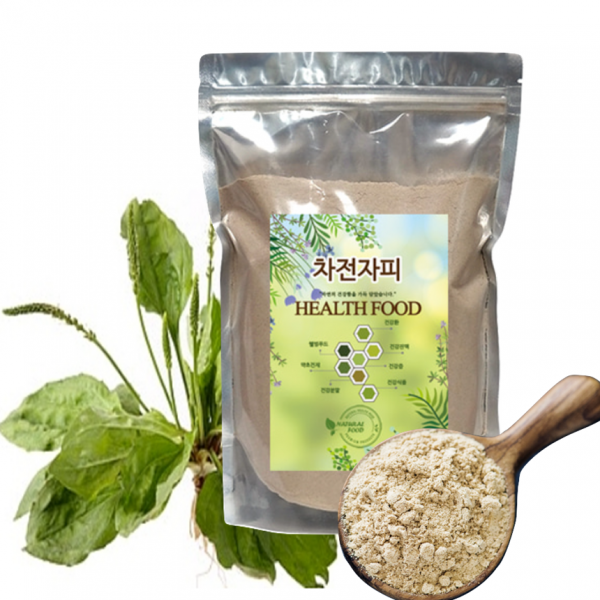 차전자피 질경이 식이섬유 씨앗 분말 가루 파우더 500g 배변에 좋은, 1팩