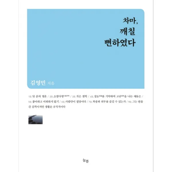 차마, 깨칠 뻔하였다:철학자 김영민의 아포리즘, 늘봄