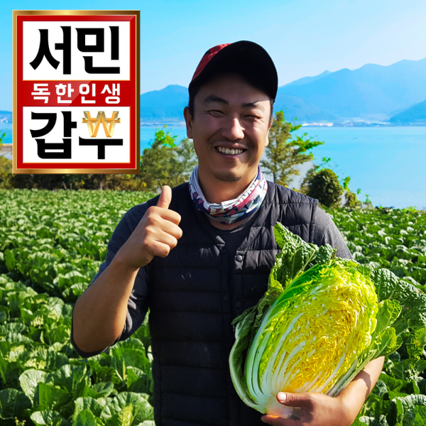 서민갑부 해남 절임배추20kg (예약발송), 20kg, 11월17일도착