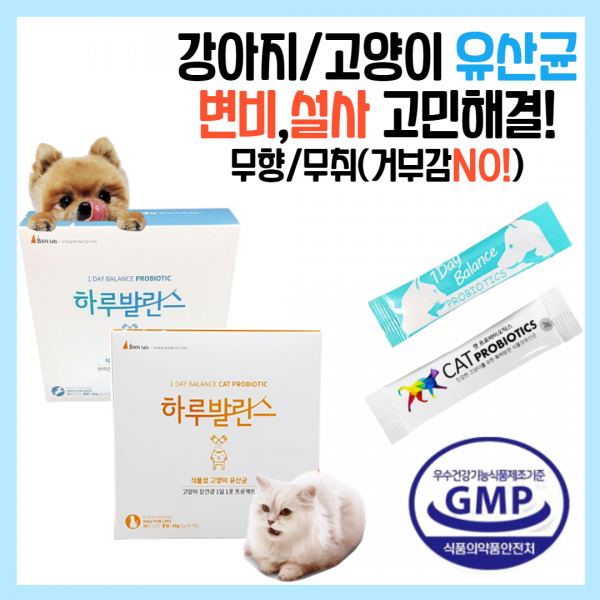 피기펫 국내생산 강아지 고양이 유산균 면역력 식물성 영양제 소화제 변비 설사 10개 강아지_무취