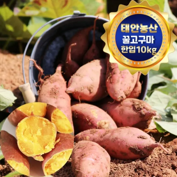 태안농산 안면도 꿀고구마 고당도 베니하루카 중.두세입(50g~90g)-10kg, 1박스