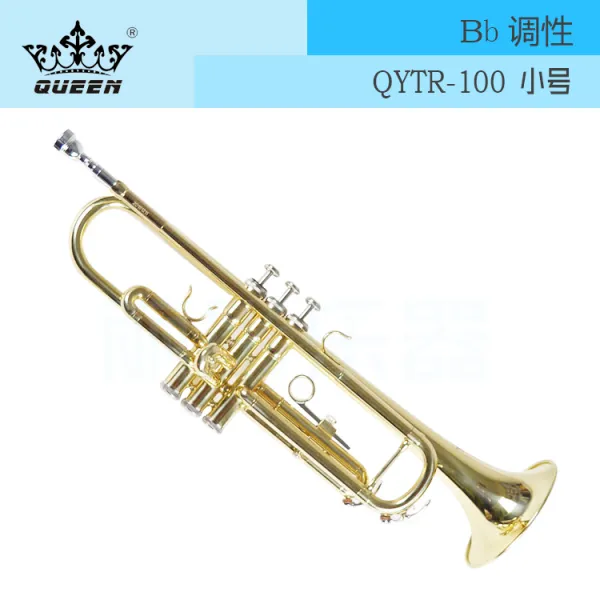 트럼펫 Queen스몰사이즈 악기 Bb조 Qytr 100페인트골드 기본