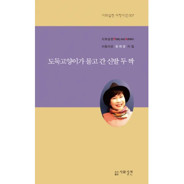 도둑고양이가 물고 간 신발 두 짝:정애경 시집, 시와실천