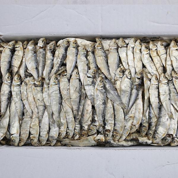 방자네 국물용 디포리 1.5kg 1박스 밴댕이 육수용, 1개, 5-7(A급)