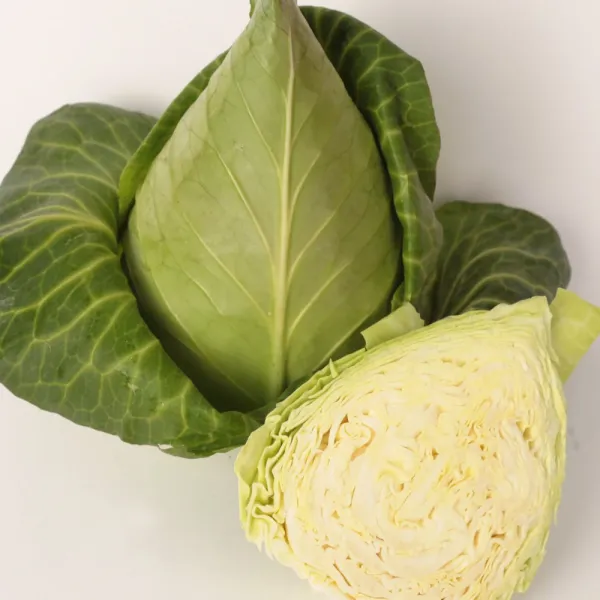 제주 고깔양배추 꼬깔 3kg or 5kg, 1개