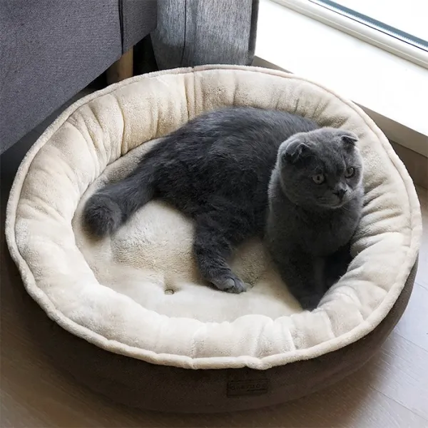 그레이독 동글박스베드 XL 그레이 침대, 베이지