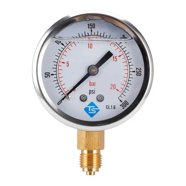 QDY Y60 방사형 글리세린 충전 압력 게이지 진공 게이지 0-300psi, 1개