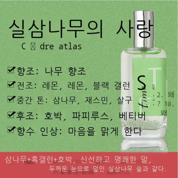 향수 일기 놀다 재미 시간 맑다 향수 남기다 향기 오래가다 옅다 향기 재스민 향기 여학생 향기