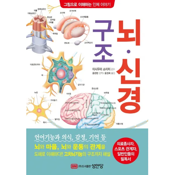 뇌·신경 구조:의료종사자, 스포츠 관계자, 일반인들의 필독서, 성안당, 이시우라 쇼이치