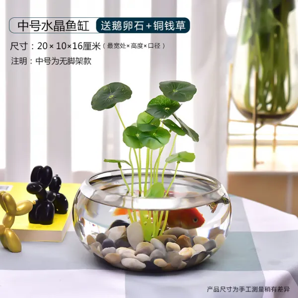 Mar.23 81번 사무실 작은 어항에다 투명유리 거북이 항아리 거실 가정용 테이블 원형 미니어처 금어항z 2_미 디 엄 크 리 스 탈 실린더 조약돌 + 시 뮬