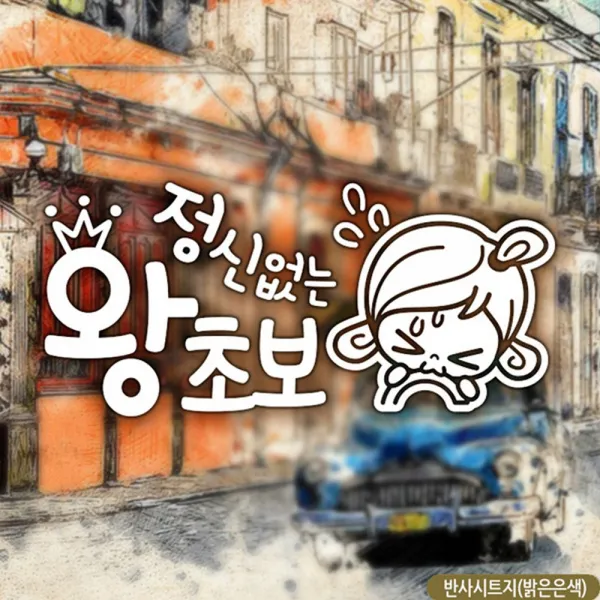 초순이 정신없는왕초보 초보자동차스티커 반사 차량용스티커 자동차스티커 차량스티커 차스티커 유리스티커, 단일상품