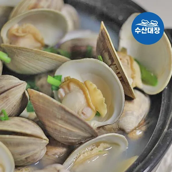 살아있는 활 백생합 1kg+1kg+초장 가성비조개 캠핑 조개구이 백합조개 살아있는 활 백생합 2kg+초장