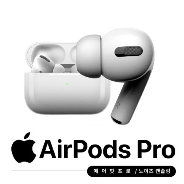 Apple 2019 에어팟 프로 맥세이프 미호환, MWP22KH/A, 화이트