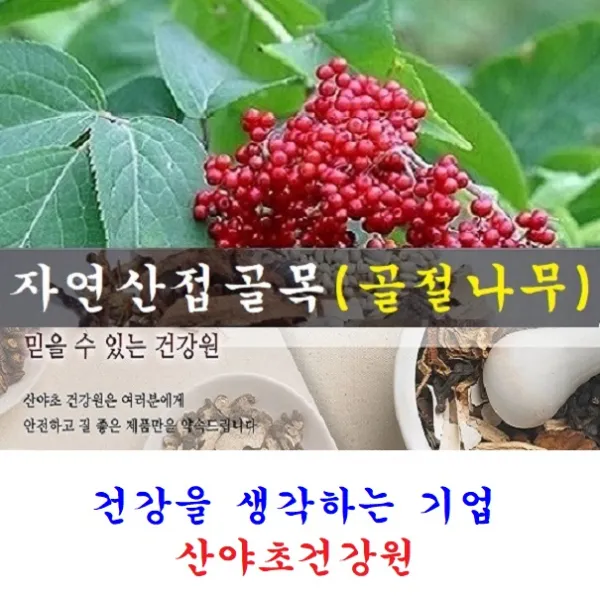 산야초건강원 접골목진액(60일분)140팩 박용복 천기누설 자연산 접골목 말오줌 딱충 골절 나무 뼈 녹각 우슬 닭발 다리 쇠 무릎 진액 즙 탕 복용법 먹는법 부러진데 에 좋은 약초 효능 음식 식품, 140팩, 110ml