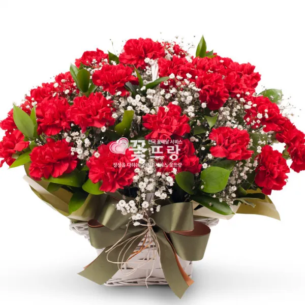 꽃뜨랑 카네이션꽃바구니 어버이날 스승의날 축하꽃배달서비스 A06 안개카네이션