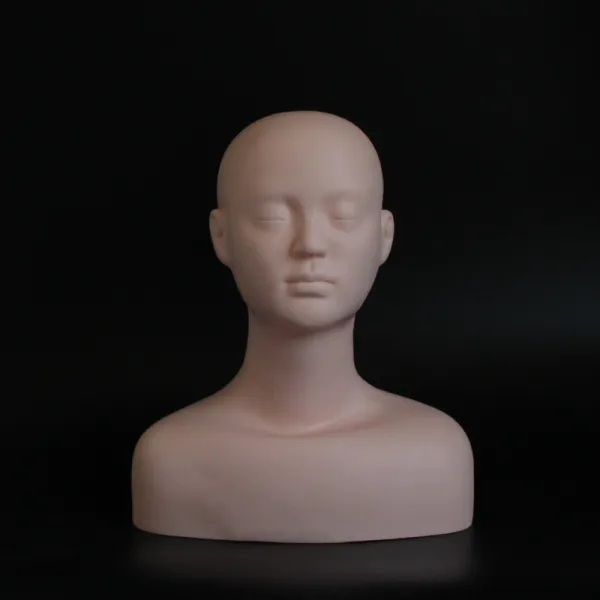 가상 속눈썹 가꾸기 미용실 마사지 메이크업 연습 머리 모양새 눈썹 가상 얼굴 세안 모델 머리 피부 관리 반신머리 모형, 단일상품
