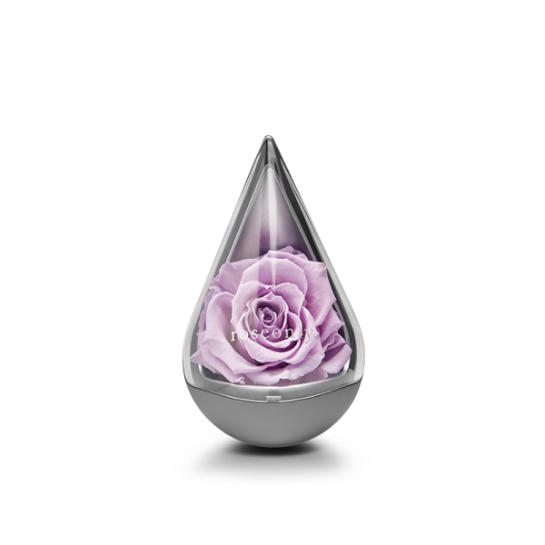 ROSEONLY 로즈 12 별자스 물방울 형영생 장미꽃 예의범절 일례 사물, 물방울 형 -마갈궁