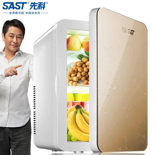 셴 코 (SAST) aesc 냉장고 8L - 20L 소형 미니 우레 탄 과 실종자 그린 스 토 어 난방 차 개 복합 휴대용 냉난방 작
