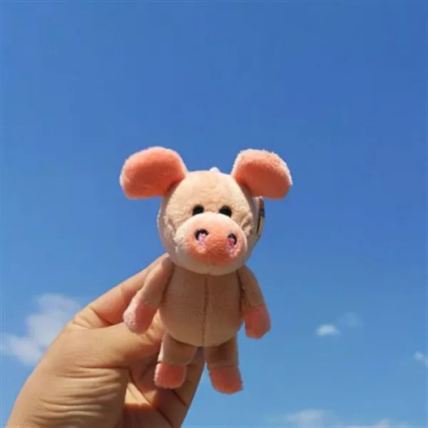 귀여운 사자인형 애착 동물인형 털 인형 여자 귀요미, 22 눈시울이 흰 개
