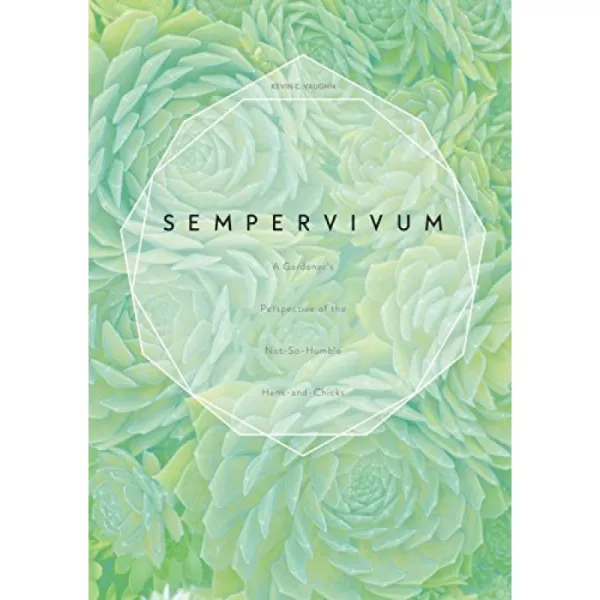 Sempervivum : 그다지 겸손하지 않은 암탉과 병아리에 대한 정원사의 관점, 단일옵션