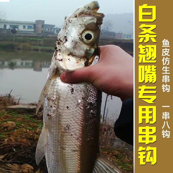 흰줄 꼬치꼬치 낚싯바늘 부리 신기 낚시조 해장 방생 파리 갈고리 껍질 고무 꼬치 금환 세, 기타
