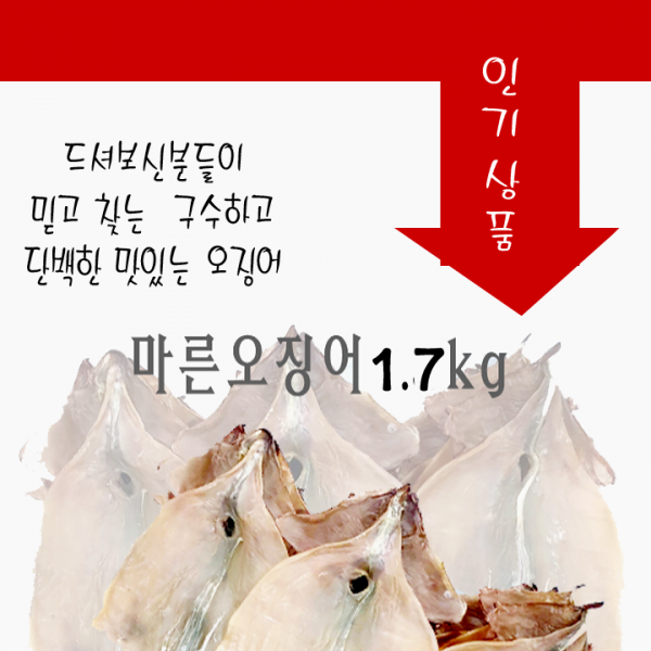 국내산(동해안)마른오징어 (대사이즈850g내외)10마리, 10마리, 850g