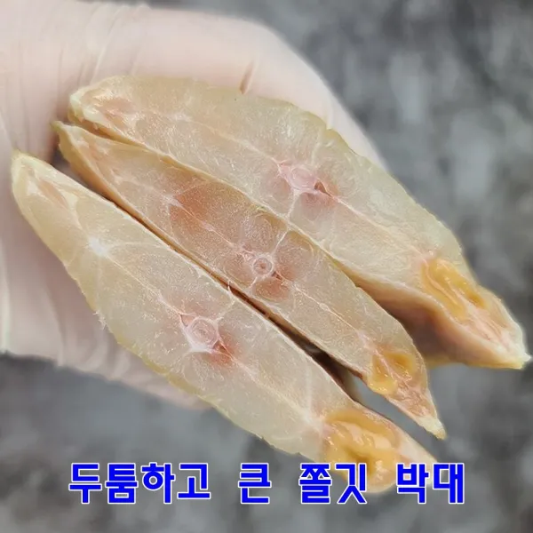 군산 앞바다 조업 100% 국내산 먹기 좋게 잘 말린 도톰하고 큰 쫄깃한 건조 박대, 5마리