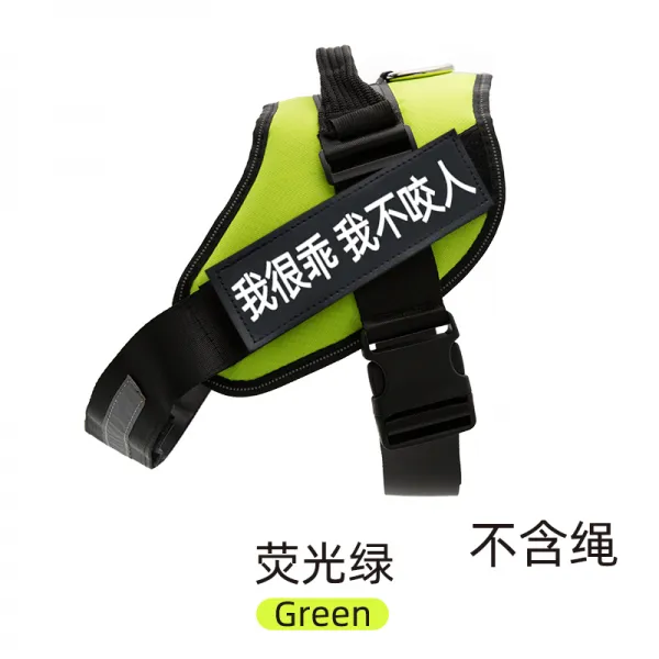 Mar.20 176번 강아지 가슴 멜빵 견인줄 덕목 조끼형 말견 사모예 용품 대형 중형견 산책용 목줄 체인z S 12 25 근 그린 안 어 울 리 는 끈 소장 선물
