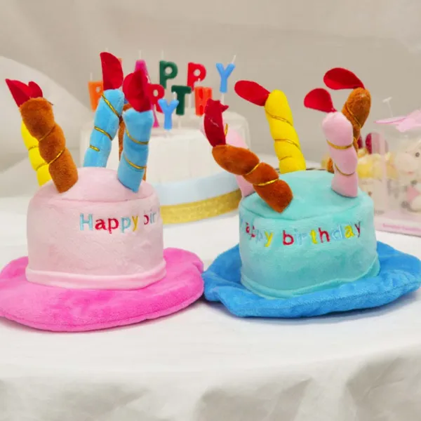 펫 생일케익모자(대), 보험 가입, 블루