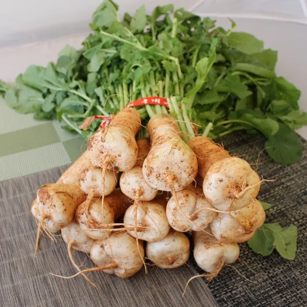 알타리 1단 3.5kg 내외 / 총각무 /국내산 / 최상품 / 팜웨이, 알타리무 1단