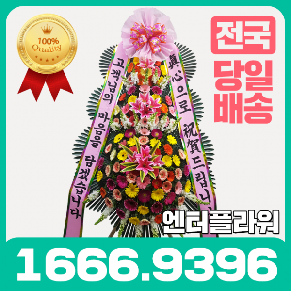 전국 3시간 총알배송 엔터플라워 꽃배달서비스 꽃집 승진 근조화환 결혼 회갑 돌잔치 특A형